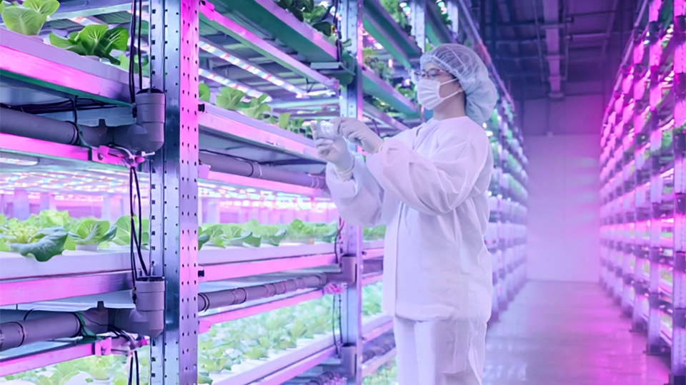 植物工場の初期投資はいくら？費用の内訳とコストを抑えるポイント